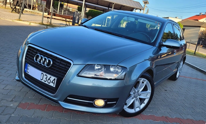 Audi A3 cena 29800 przebieg: 233500, rok produkcji 2011 z Pabianice małe 172